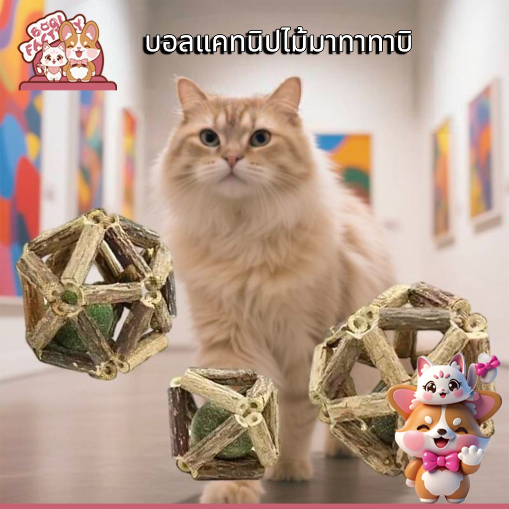 แคทนิปบอล กระดิ่งไม้มาทาทาบิ กัญชาแมว ลูกบอลแมว ของเล่นแมว กล่องไม้มาทาทาบิ ลูกอบลของเล่น ZY99