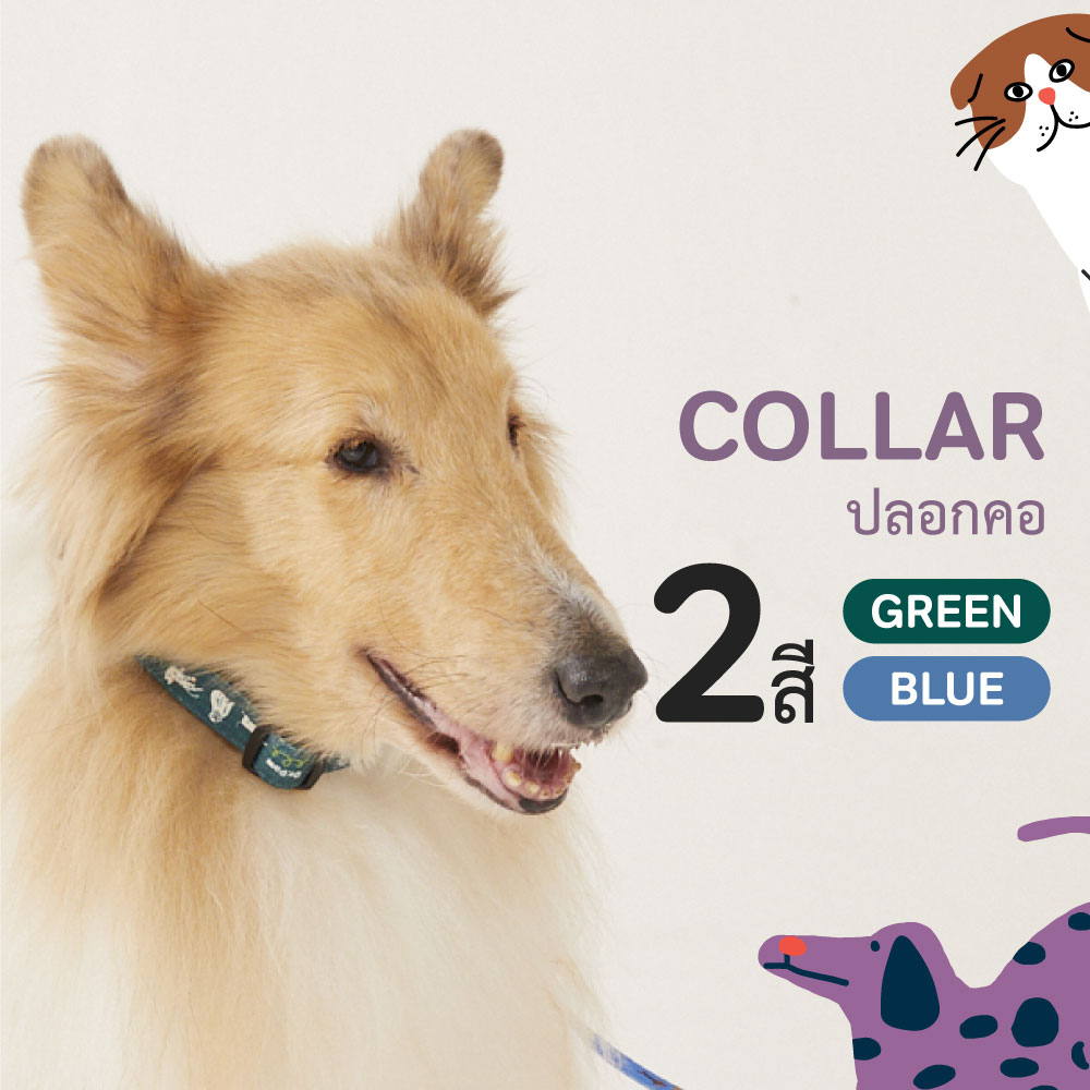 ปลอกคอสําหรับสุนัขและแมว Collar