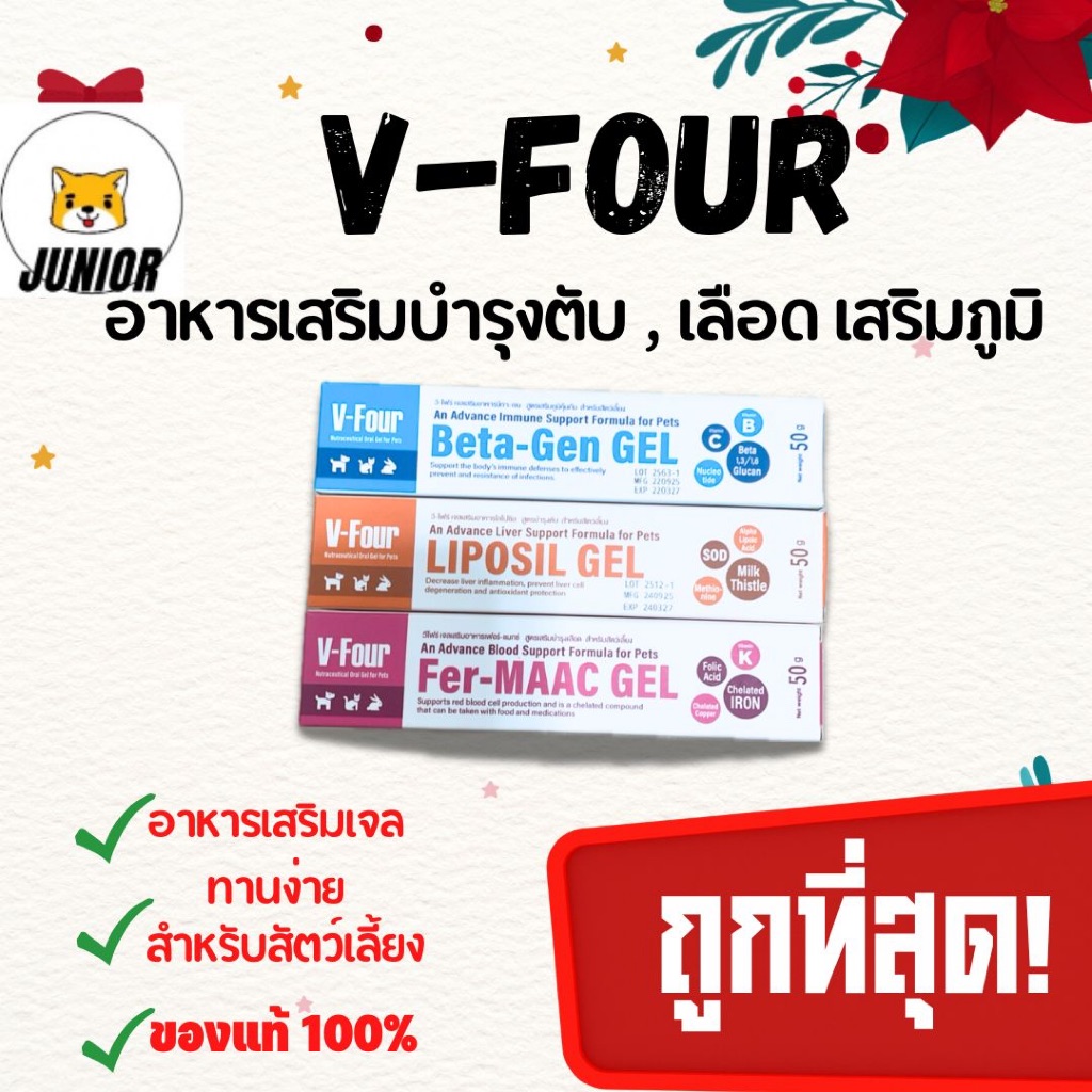 V-four อาหารเสริมบํารุงตับ บํารุงเลือด เสริมภูมิคุ้นกัน สุนัข แมว กระต่าย แบบเจล 50g