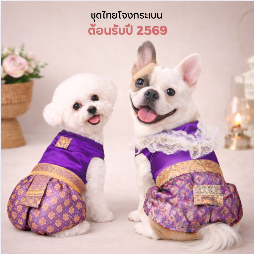 ชุดไทยหมาแมว น้องหมาใหญ่ใส่ได้ สงกรานต์ 2569 รุ่นโจงกระเบน & ผ้าซิ่นลูกไม้ (1-10) สวยหรู ผ้าอย่างดี