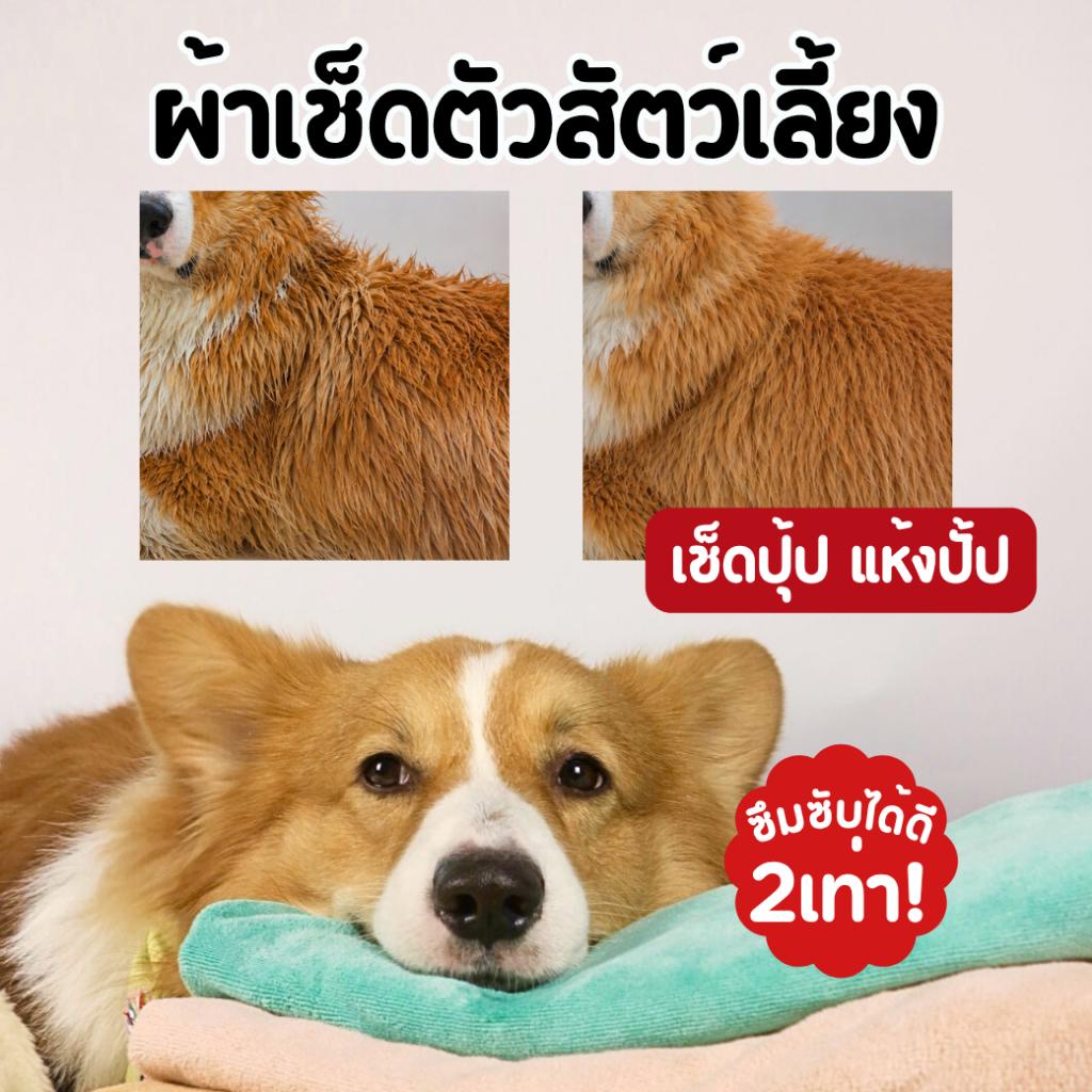 ผ้าเช็ดตัวแมวหมา ซึมซับน้ําดีเยี่ยม แห้งง่ายแห้งไว นุ่มสบาย ผ้าเช็ดตัวสัตว์เลี้ยงหมาแมว