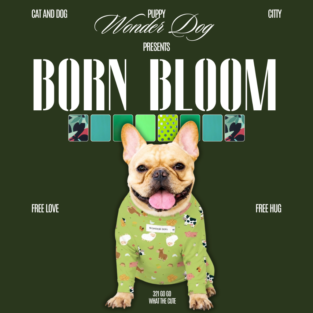 ชุดเก็บขน wonder dog เสื้อสุนัข เสื้อแมว ชุดกันขนร่วง ชุดหมาชุดแมว โทนเขียว ตารางไซส์เลื่อนขวานะคะ