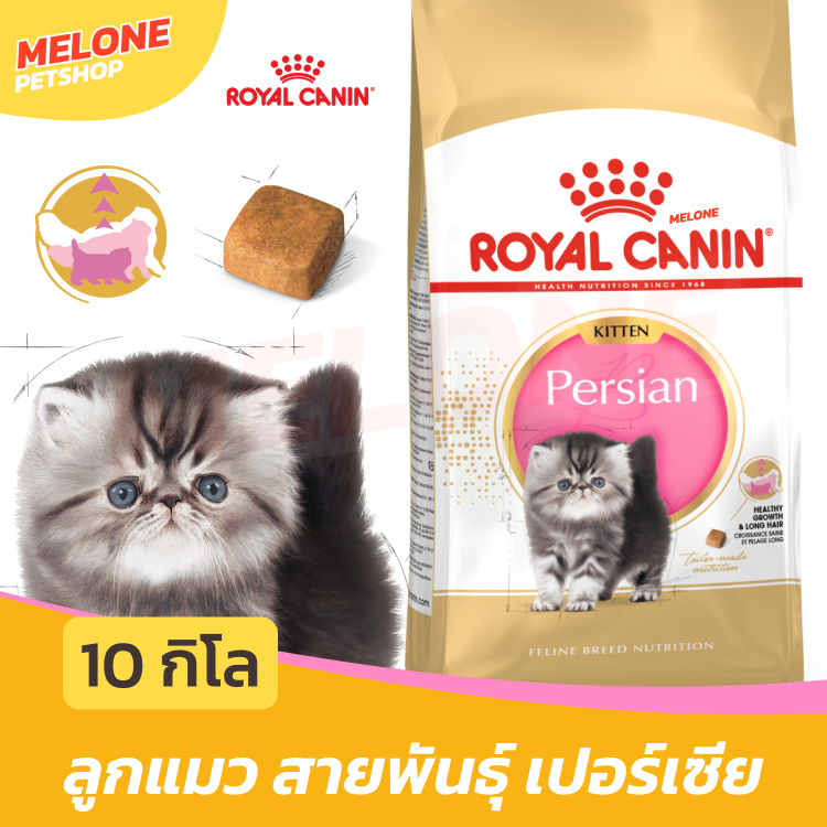 กระสอบ] Royal Canin Persian Kitten รอยัลคานิน อาหารลูกแมว พันธุ์ เปอร์เซีย ลูกแมว อายุ 4-12 เดือน 10kg