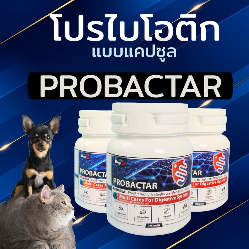 โปรไบโอติก ชนิดแคปซูล Probactar บรรจุ 30 เม็ด บรรเทาอาการท้องเสีย ลดอาการท้องผูก