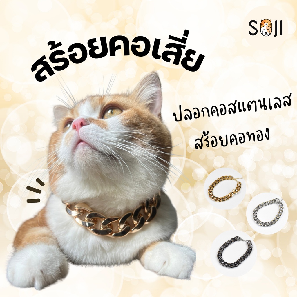 ปลอกคอสุนัข แมว สร้อยคอสแตนเลส ปลอกคอแฟชั่น Badboy อาเสี่ย Dog collar Cat collar