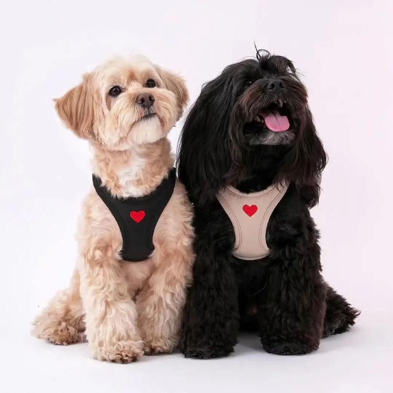Puppy Gallery Weather proof harness เสื้อรัดอกสุนัขและแมว รุ่นใหม่ สะท้อนน้ํา บางเบา ระบายอากาศได้ดี ฮาเนสสุนัข ลายหัวใจ
