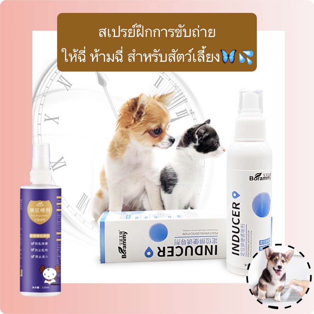 PP-356 สเปรย์ฝึกขับถ่าย สําหรับสัตว์เลี้ยง ฝึกฉี่ ฝึกขับถ่าย สําหรับสุนัขและแมว ปลอดภัย ไร้สารตกค้าง