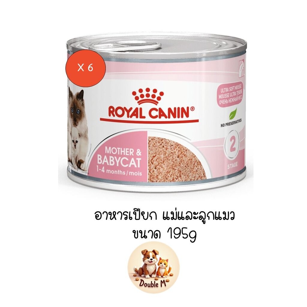 6 กระป๋อง ** Royal Canin Mother & Babycat อาหารเปียกกระป๋อง สําหรับแม่และลูกแมว ขนาด 195 กรัม