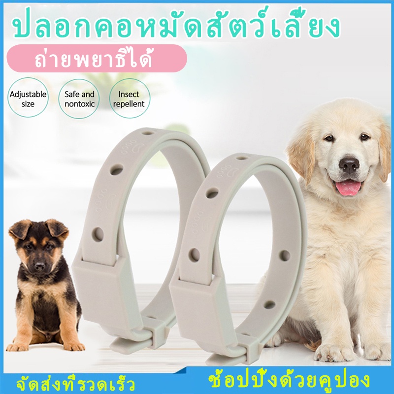 ปลอกคอสุนัข, แมว, ยากันยุง, ไล่หมัด, ซิลิโคน, ปลอกคอสัตว์เลี้ยงปรับได้, ปลอกคอตกแต่ง, อุปกรณ์สัตว์เลี้ยง
