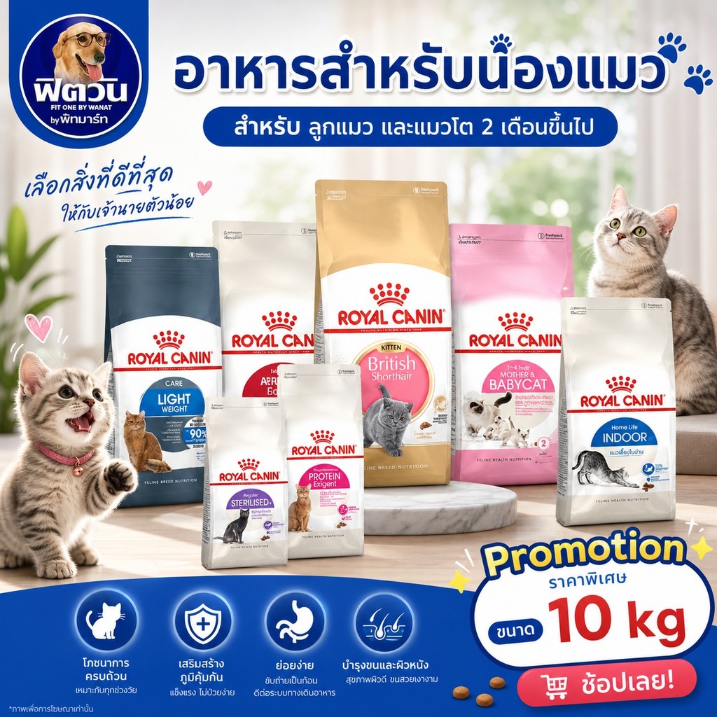 ROYAL CANIN อาหารลูกแมว แมวโต1ปีขึ้นไป สําหรับแมวทุกสายพันธุ์ 10 กก.{อาหารแมวเม็ด