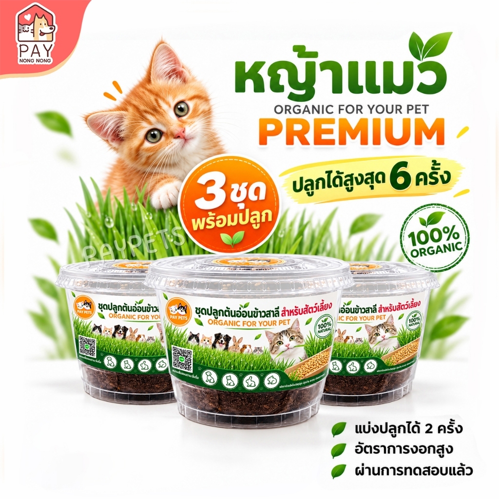 ชุดปลูกหญ้าแมวออร์แกนิก (กระปุกใส+คู่มือ 3 ชุด) ต้นอ่อนข้าวสาลีคัดเกรด ขับก้อนขน ลดกลิ่นปาก ปลอดสารเคมี ปลูกง่าย โตไว