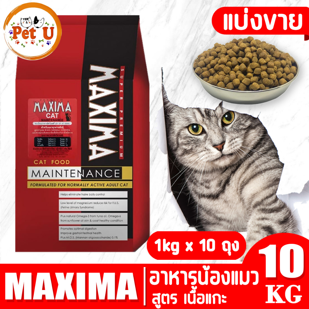 MAXIMA CAT 10kg ( ) อาหารเม็ด สําหรับแมวทุกสายพันธุ์ทุกช่วงวัย ถูกมาก น้องแมวชอบมาก