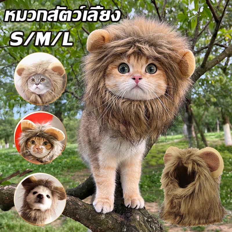 หมวกสัตว์เลี้ยง หมวกวิกผม รูปสิงโตน่ารัก ขนาดเล็ก สําหรับสัตว์เลี้ยง สุนัข แมว