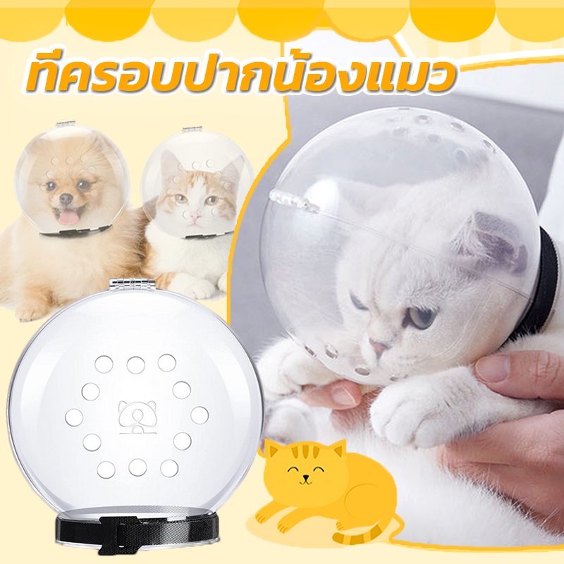 ที่ครอบปากน้องแมว หน้ากากหมวกกันกัด ป้องกันการกัด กัน แมวกัด ตัดเล็บแมว ระบายอากาศได้ดี
