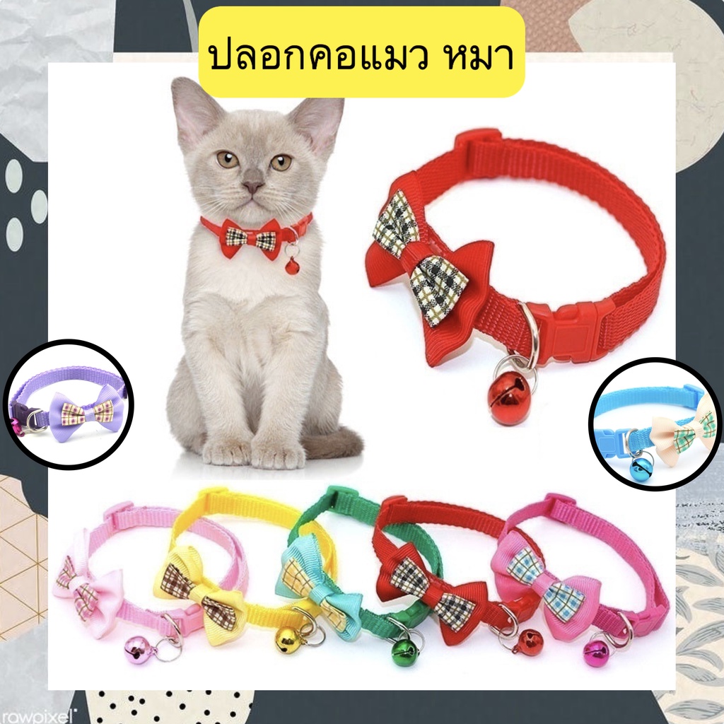 BN-361 🐾 ปลอกคอแมว หมา กระต่าย ดีไซน์เรียบหรู สีสันสดใส 🌈 ปรับขนาดได้ น้ําหนักเบา ใส่