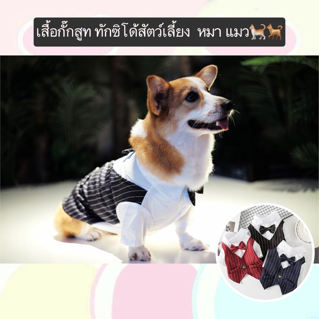 AL-408 เสื้อกั๊กสูท ทักซิโด้สัตว์เลี้ยง ชุดสูทสุนัข หมา แมว เสื้อออกงานสัตว์เลี้ยง ราคาถูก