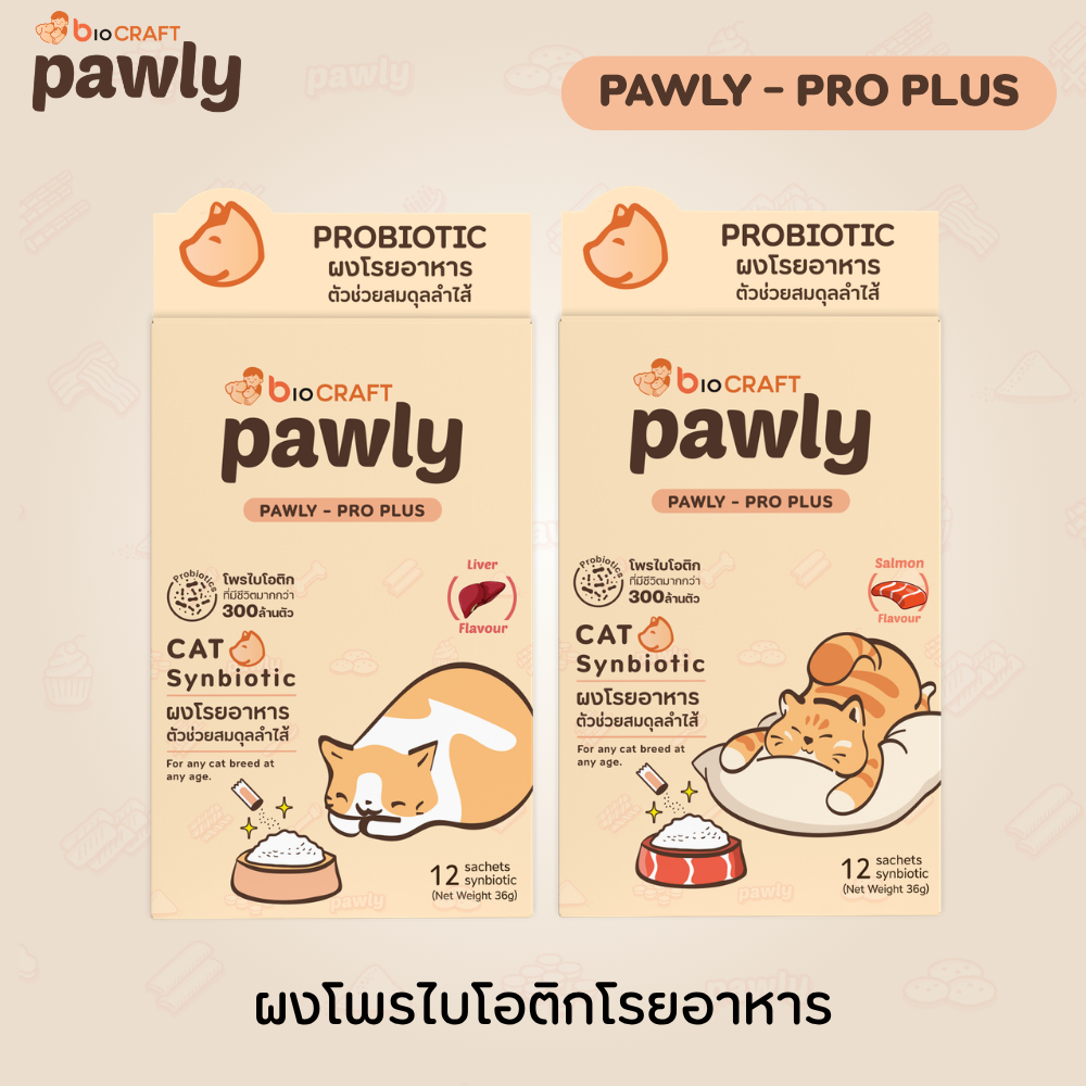 Pro Plus (สําหรับแมว) ผงโรยอาหารโพรไบโอติก กินง่าย เสริมภูมิ ดูแลลําไส้ - [1กล่อง - 12ซอง