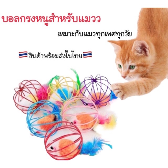 New บอลแมว บอลกรงหนู ลูกบอลแมว บอลหนู ลูกบอลหนู ของเล่นแมว #P028