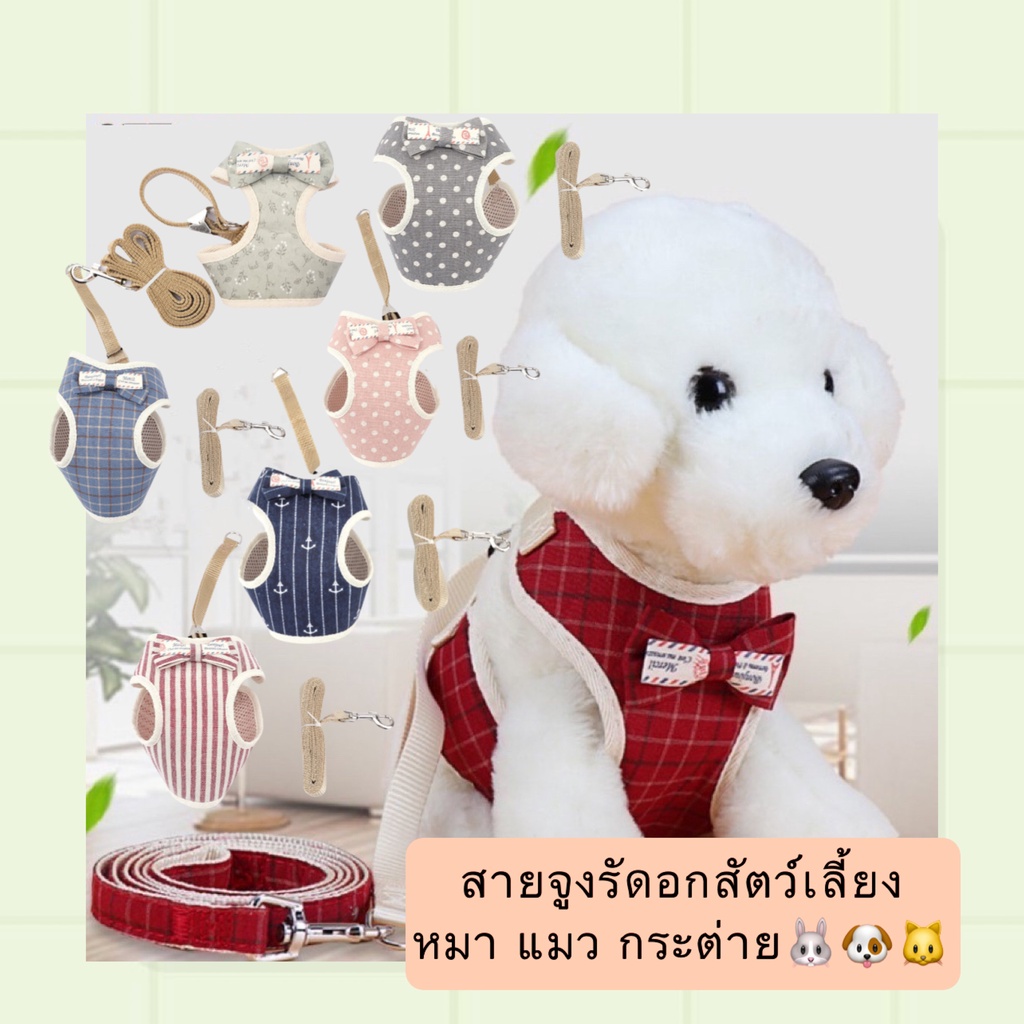 MG-396 ชุดสายจูงรัดอกสําหรับสัตว์เลี้ยง หมา แมว กระต่าย ใช้เป็นเสื้อรัดอกพร้อมสายจูงในตัว ดีไซน์น่ารัก ทันที