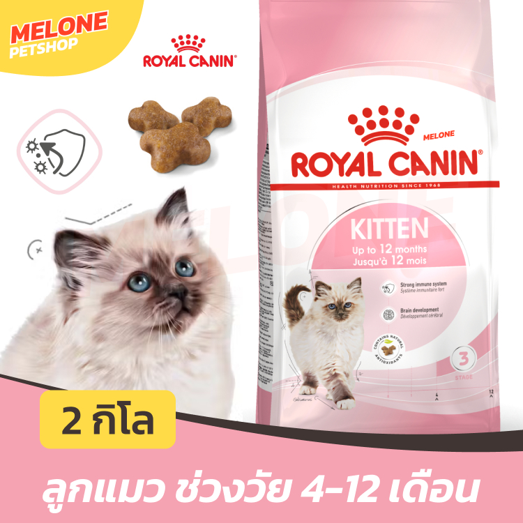 Royal Canin Kitten รอยัลคานิน อาหารแมว ลูกแมว แมวเด็ก อายุ 4 - 12 เดือน ขนาด 2 kg