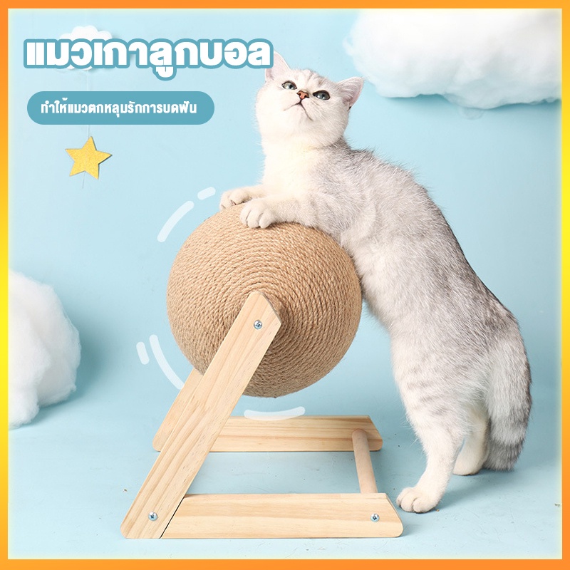 ที่ลับเล็บแมว ที่ฝนเล็บแมว ของเล่นแมว บอลฝนเล็บแมว ที่ฝนเล็บแมวลูกบอล ลูกบอล ของแมว รางบอลแมว บ้านแมว ที่นอนแมว