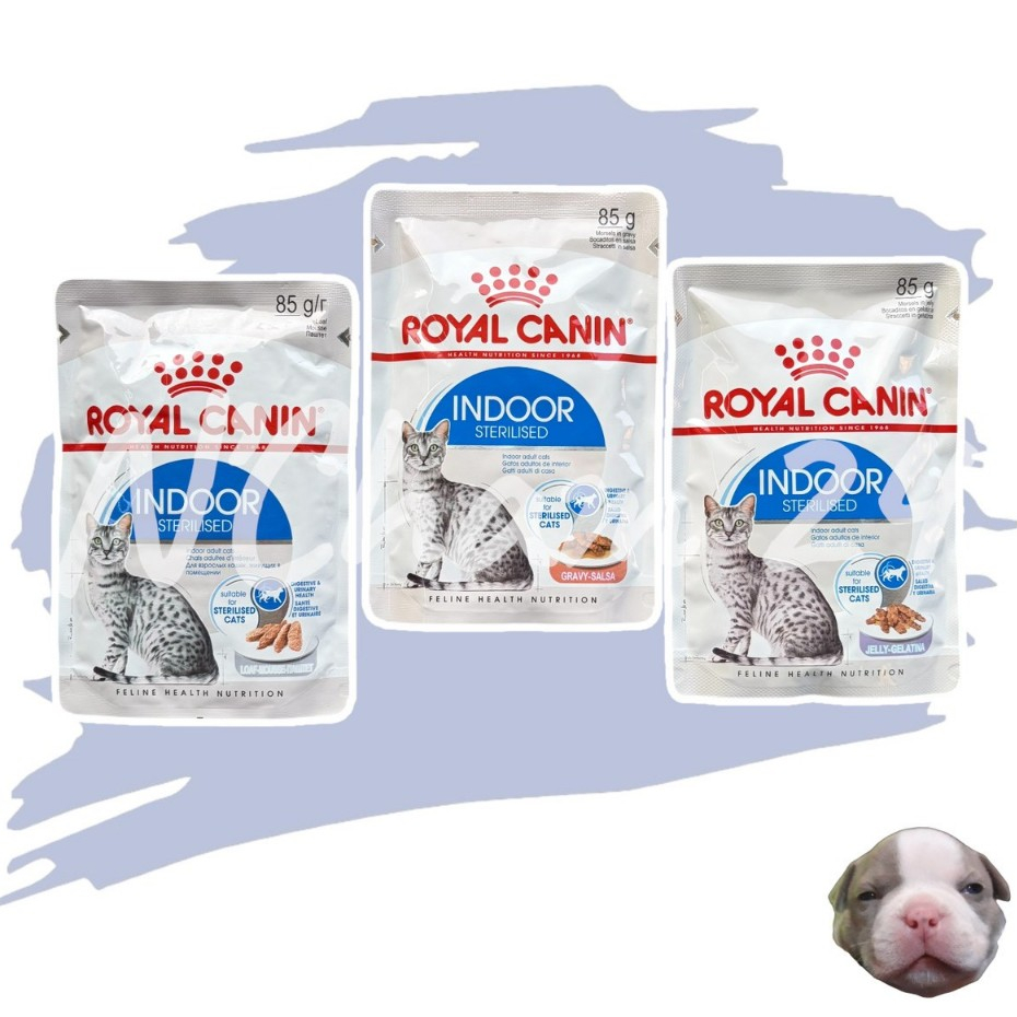 Royal Canin Indoor Pouch บรรจุ 12 ซอง อาหารเปียกแมวโต เลี้ยงในบ้านและทําหมัน อายุ 1 ปีขึ้นไป
