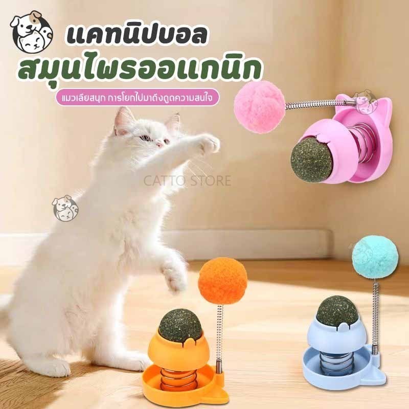 ลูกบอลแมว ไม้ตกแมว 2in1แคทนิปบอล ติดกําแพง ไม่กลิ้งหาย catnip ball ของเล่นแมว OO
