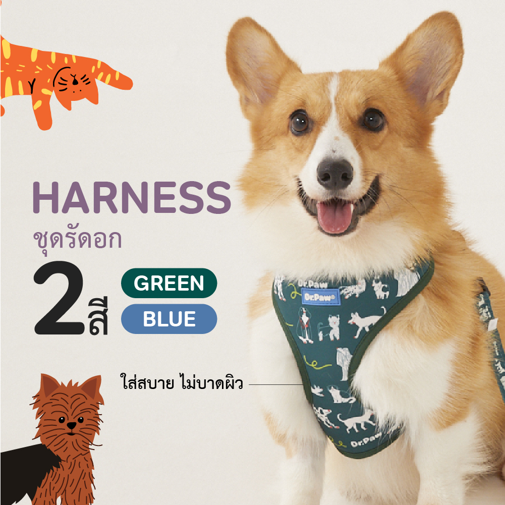 ชุดรัดอกสุนัขลายลิขสิทธิ์แท้ DR.PAW DOG & CAT HARNESS BLUE & GREEN