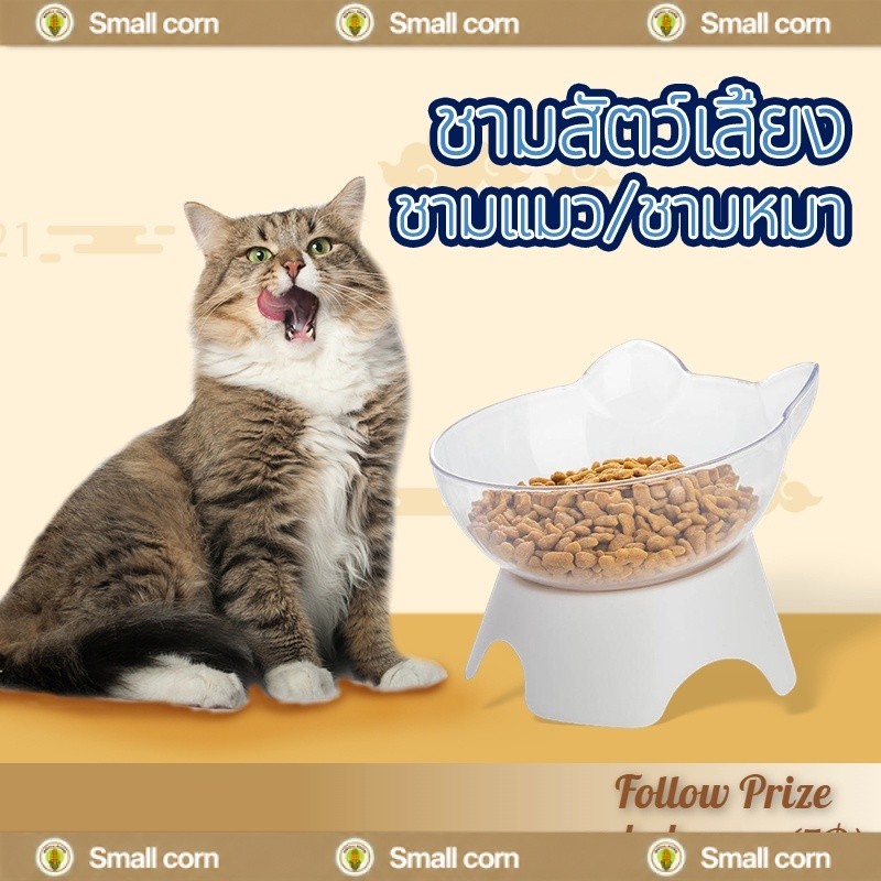 ชามแมว ชามสัตว์เลี้ยง สูง16cm❤ Pet bowl pvc ชามใส่อาหารสัตว์เลี้ยง โปร่งใส ป้องกันกระดูกสันหลังคอ
