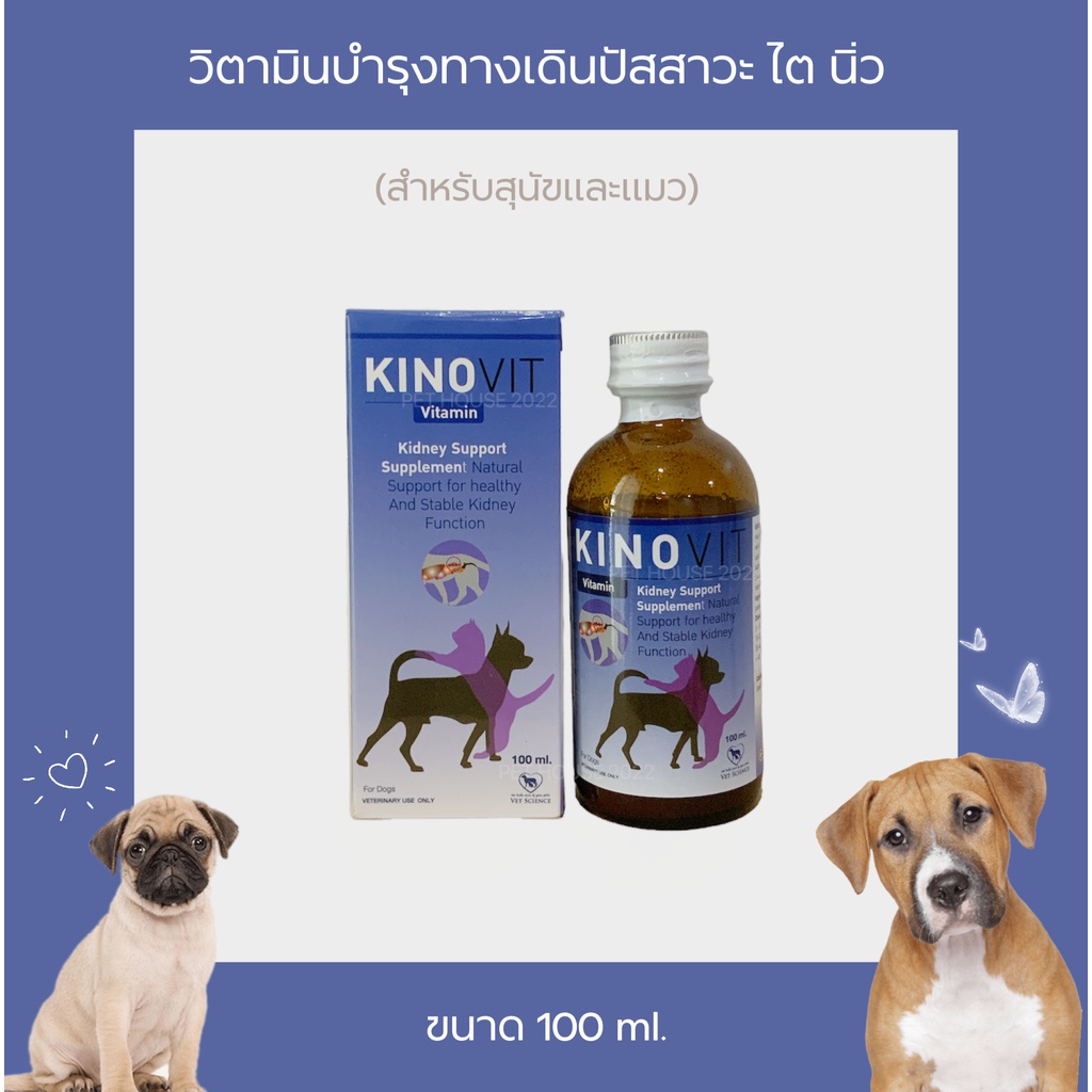 Kinovit วิตามินบํารุง ระบบทางเดินปัสสาวะ ไต นิ่ว สําหรับสุนัขและแมว ขนาด 100 ml
