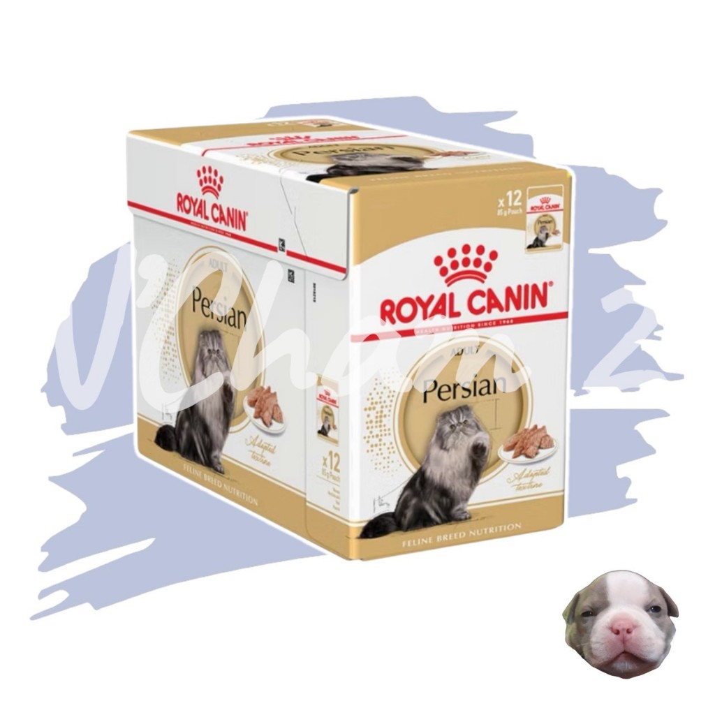 Royal Canin Persian Loaf บรรจุ 12 ซอง หมดอายุ12/26 อาหารเปียกแมวโตพันธุ์เปอร์เซียน 12 เดือนขึ้นไป
