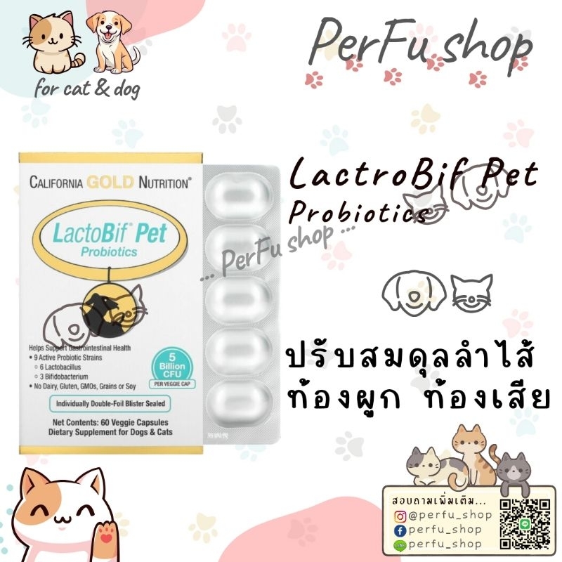 ยกกล่อง ปรับสมดุลลําไส้ สําหรับสุนัขและแมว 🎏 LactoBif Pet Probiotics