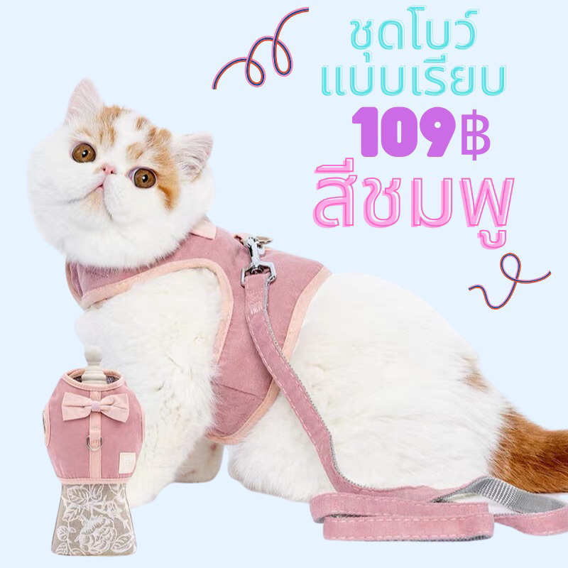 ชุดโบว์แบบเรียบ น้องหมาและน้องแมว พร้อมสายจูง