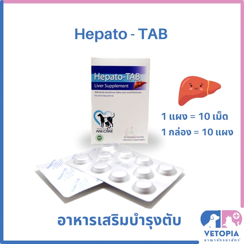 1 แผง = 10 เม็ด> Hepato Tab วิตามินบํารุงตับสําหรับสุนัขและแมว