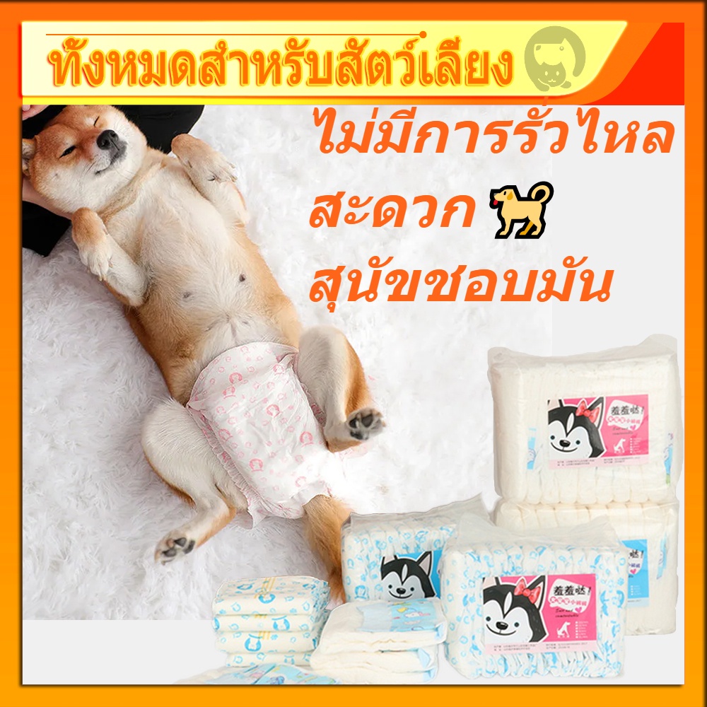 ผ้าอ้อมสัตว์เลี้ยง แพมเพิสสุนัข ตัวเมีย สําหรับสุนัขและแมว ผ้าอ้อมน้องหมา ผ้าอนามัยสุนัข ผ้าอ้อมสุนัขเพศผู้