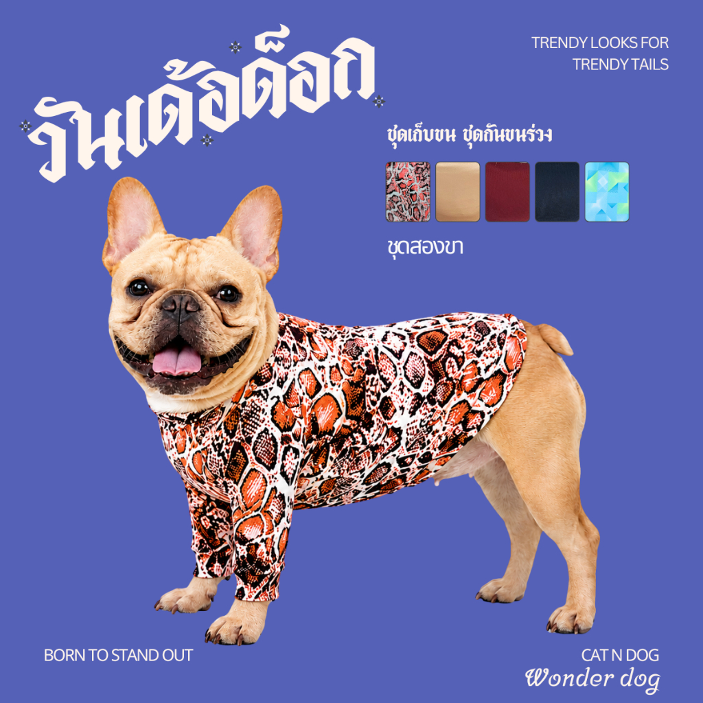ชุดเก็บขน wonder dog เสื้อสุนัข เสื้อแมว ชุดกันขนร่วงสุนัข ชุดสัตว์เลี้ยง 2 ขามาใหม่