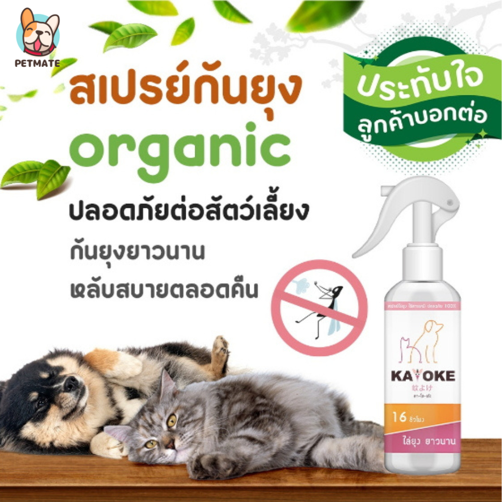Kayoke สเปรย์กันยุง ปกป้องนาน 16ชั่วโมง สูตรออแกนิค จากสารสกัดใบสะเดา,เปลือกส้ม สําหรับสัตว์เลี้ยง สุนัข แมว