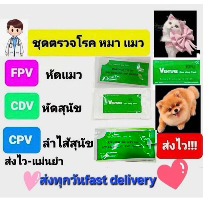 ชุดตรวจโรคสุนัข ชุดตรวจโรคแมว ตรวจไข้หัดแมว ไข้หัดสุนัข ลําไส้อักเสบสุนัข CPVtest CDVtest FPVtest