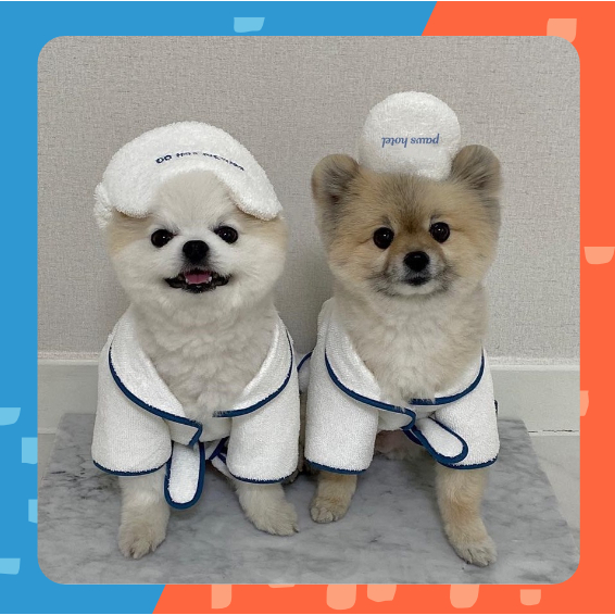 ชุดคลุมอาบน้ําแมว Paws Hotel Bathrobe ชุดหมา ชุดสุนัข ชุดนอนแมว