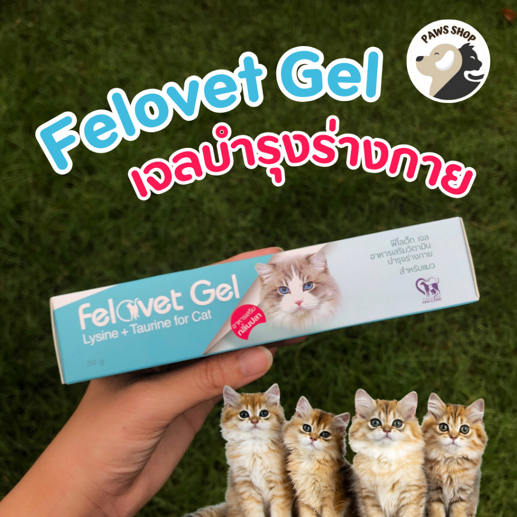 Felovet gel 🩵อาหารเสริมวิตามินบํารุงร่างกาย สําหรับแมว ขนาด 50 กรัม