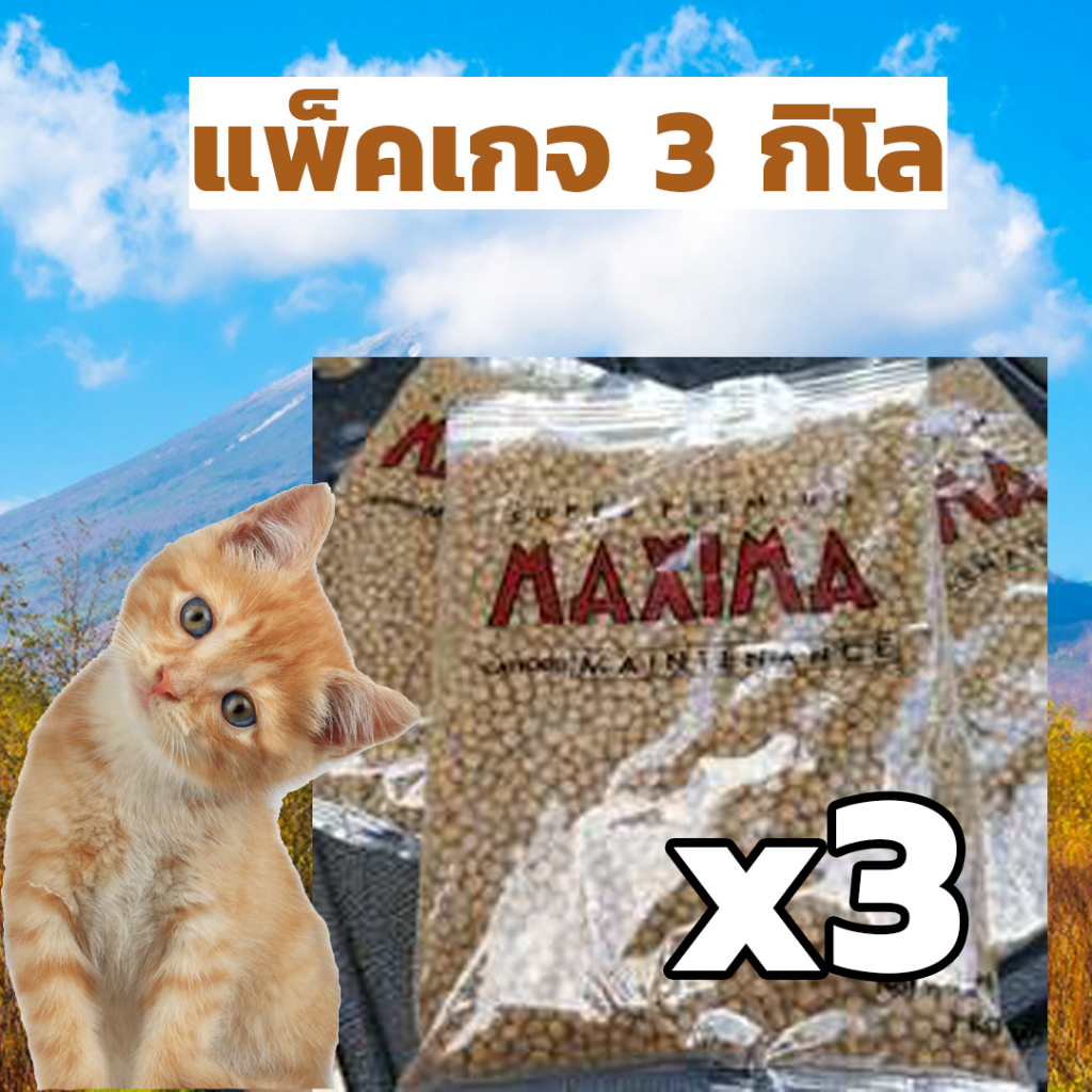 Maxima Cat Food แม็กซิม่า อาหารแมว
