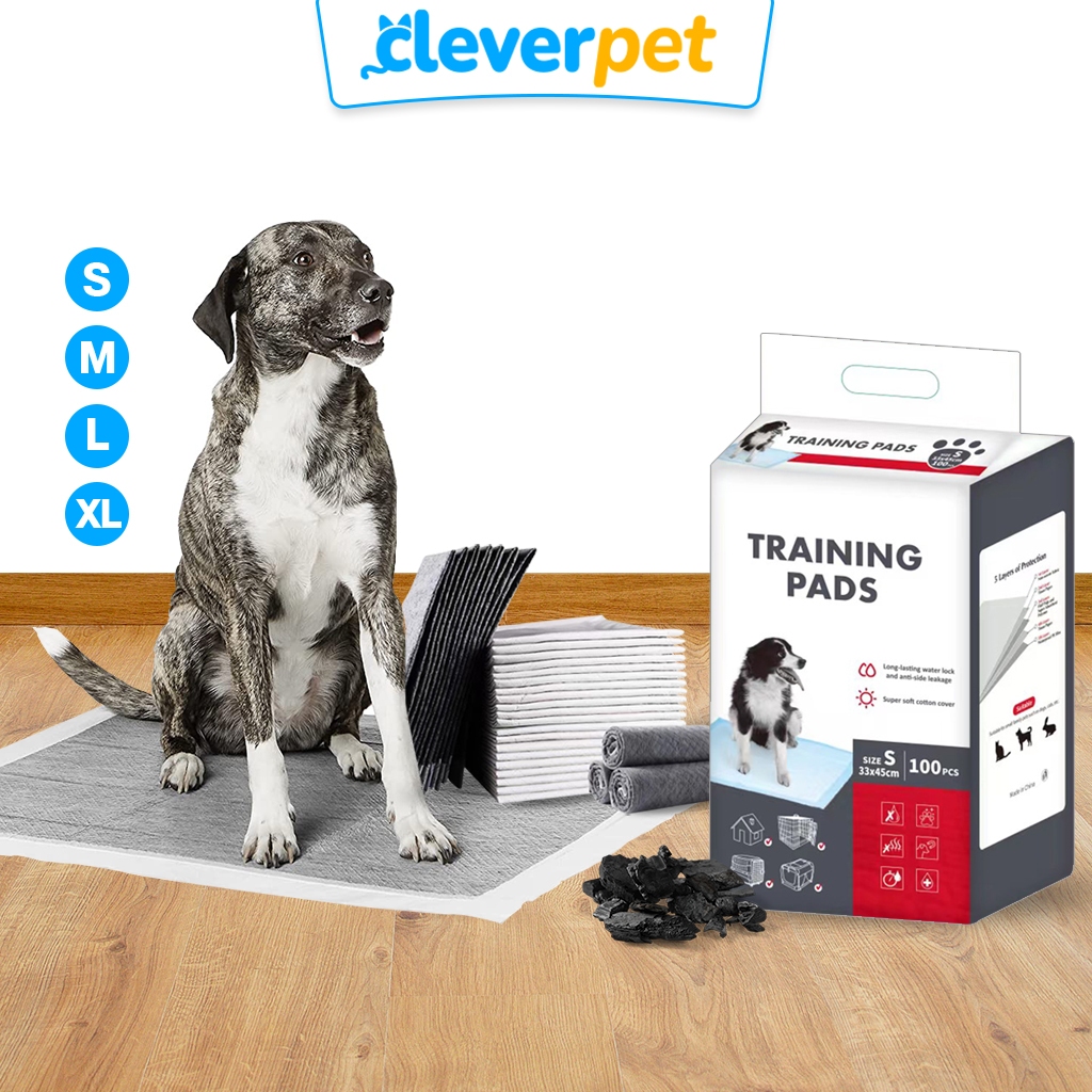 CleverPet แผ่นรองฉี่ชาโคล สุนัข แผ่นรองฉี่แมว ซึมดี เก็บกลิ่น Dog Training Pad
