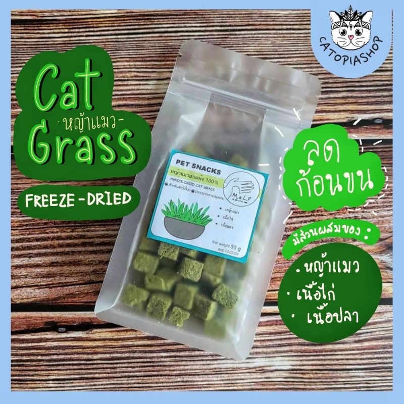 M.a.L.P.) หญ้าแมวฟรีซดราย หญ้าแมวอบแห้ง ต้นอ่อนข้าวสาลี ขนมสัตว์เลี้ยง