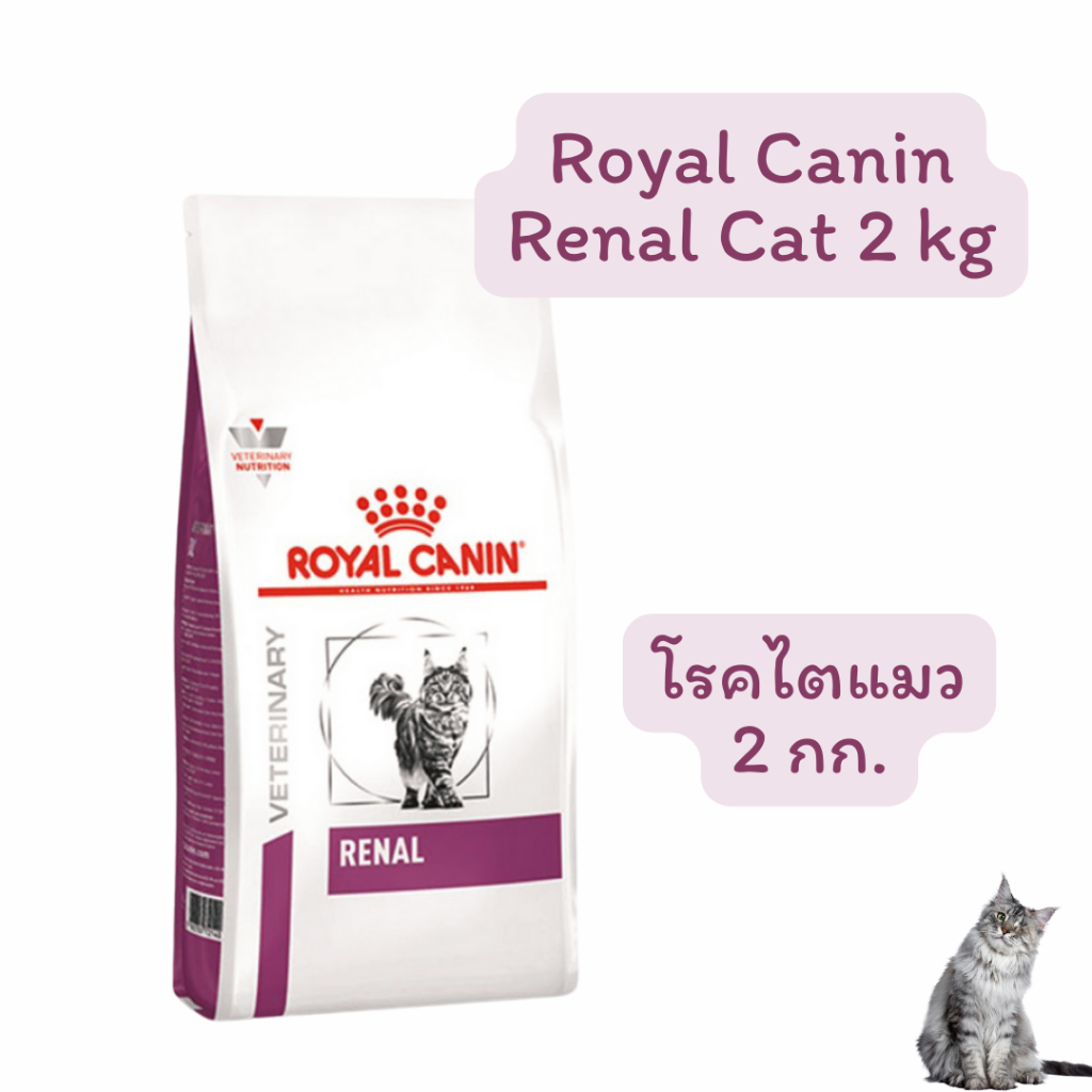 exp09/2027 Royal Canin Renal 2kg อาหารแมว โรคไต ขนาด 2 กิโลกรัม