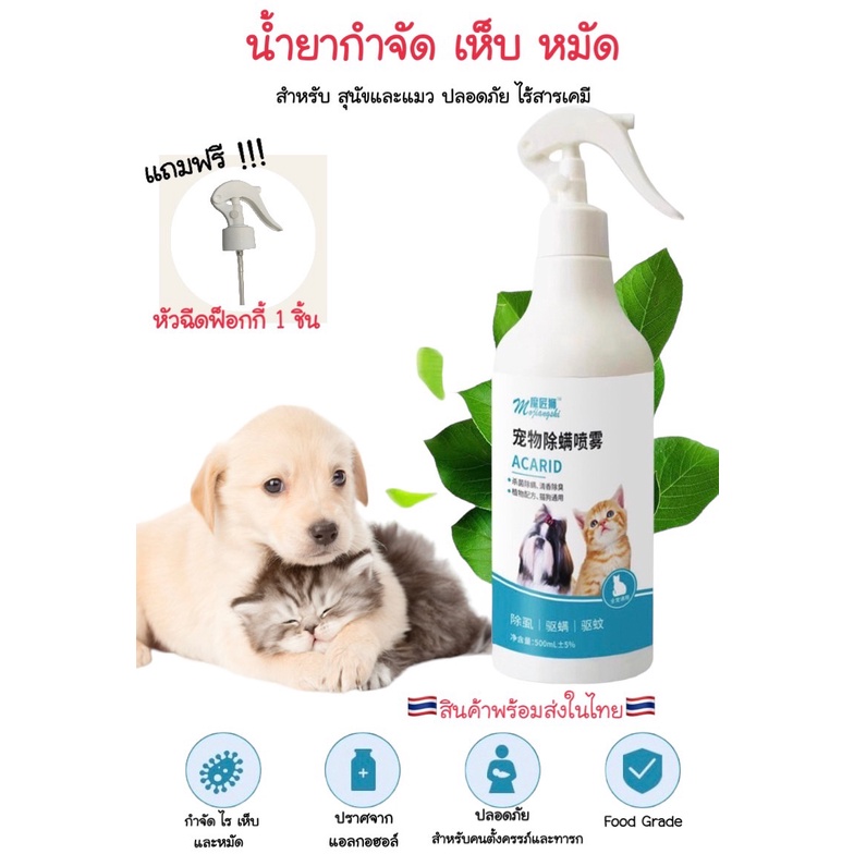 น้ํายากําจัดเห็บ หมัด ไร ขวด500ml สเปรย์กําจัดเห็บหมัด เหมาะสําหรับสุนัขและแมว แถมฟรี หัวฉีกฟ๊อกกี้ #P034