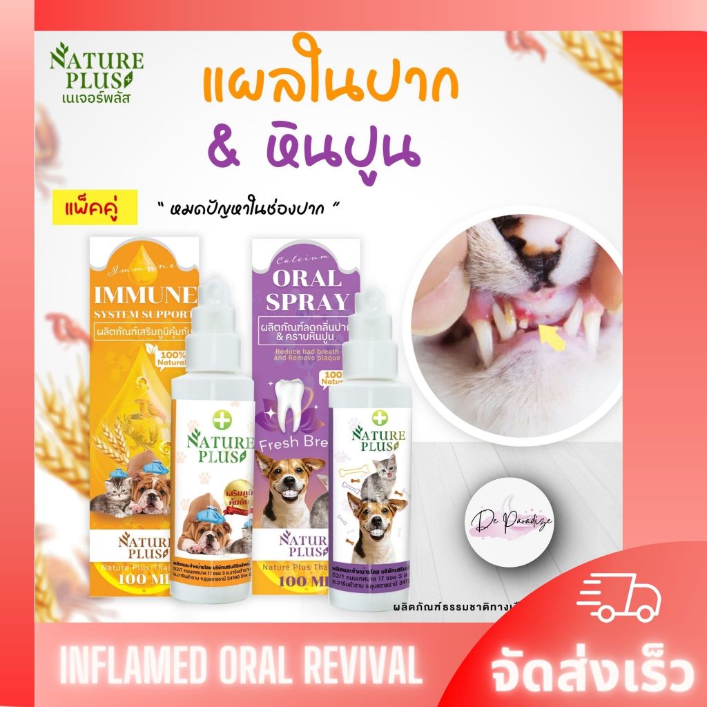 แพคคู่ สําหรับปัญหาในช่องปาก สุนัข แมว ลดกลิ่นปาก ปากอักเสบ - Nature Plus