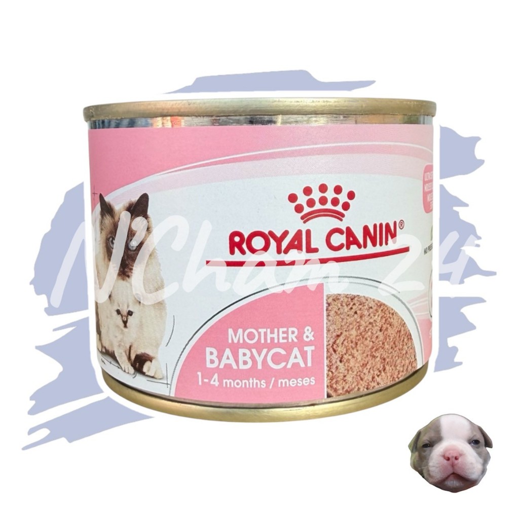 โปรดอ่านก่อนสั่ง ROYAL CANIN MOTHER&BABYCAT CAN 195g อาหารเปียกสําหรับแม่แมวและลูกแมว