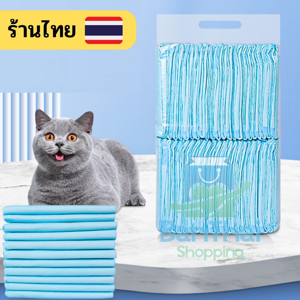 แผ่นรองฉี่ Cocoyo 🐶 สําหรับน้องสุนัขและแมว ดูดซับดี ทนทาน 💞 ราคาถูก bt99