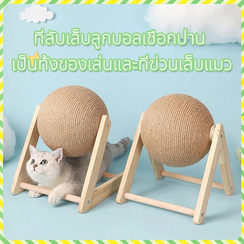 บอลลับเล็บ บอลลับเล็บแมว ที่ลับเล็บแมว ที่ฝนเล็บแมว ของเล่นแมว ลูกบอลฝนเล็บแมว คอนโดแมว