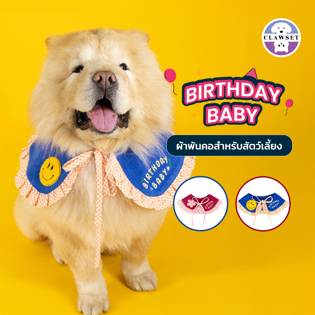 ผ้าผูกคอสัตว์เลี้ยง Birthday Baby Collar ผ้าพันคอสําหรับหมาแมว ปาร์ตี้วันเกิด | CLAWSET.BKK